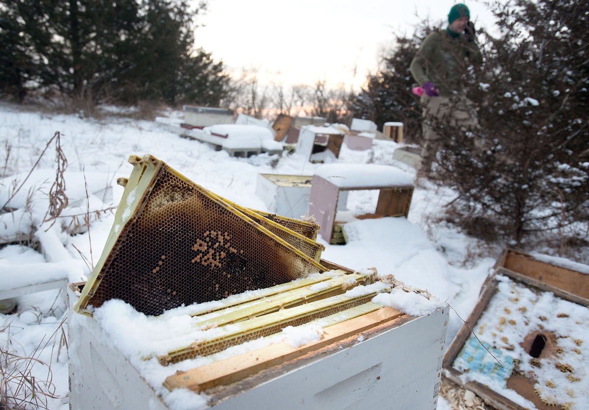 Wild Hill Honey vandalism